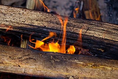 Wood+in+Fire